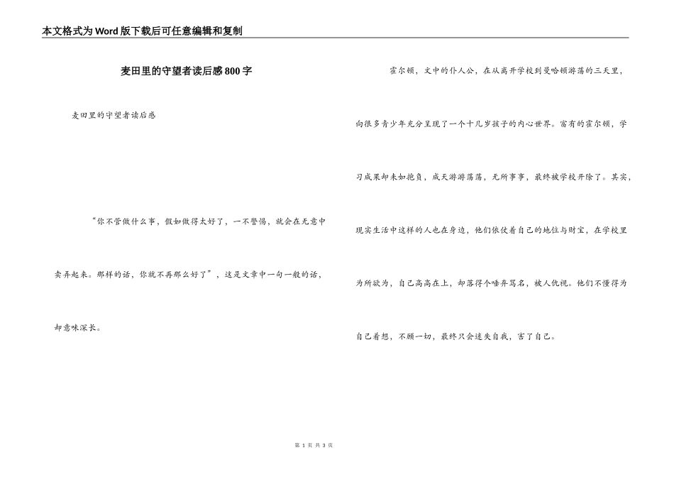 麦田里的守望者读后感800字_第1页