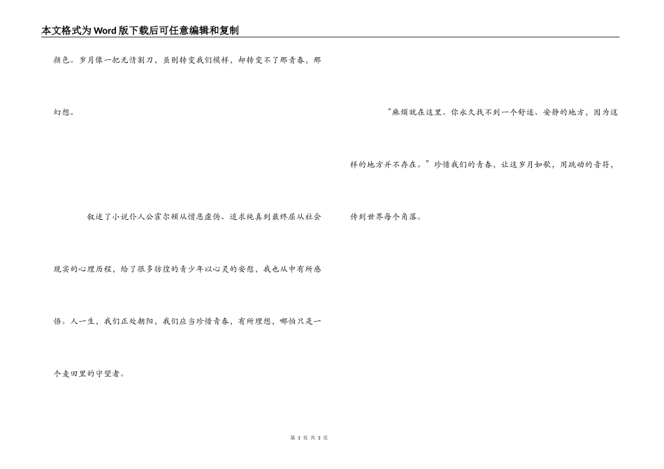 麦田里的守望者读后感800字_第3页