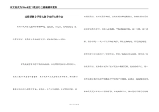 远程研修小学语文指导老师心得体会