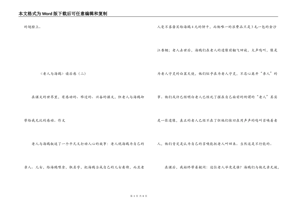 《老人与海鸥》读后感_第3页