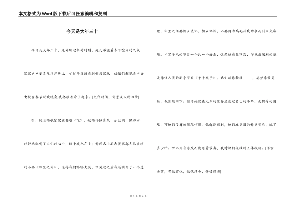 今天是大年三十_第1页