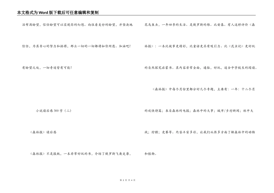 小说读后感300字_第2页