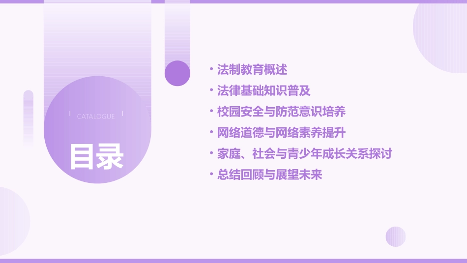 法制教育主题班会_第2页