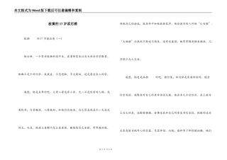 寂寞的17岁读后感