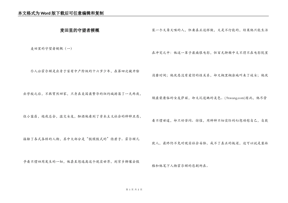 麦田里的守望者梗概_第1页