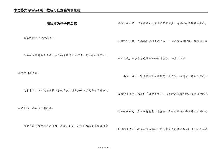 魔法师的帽子读后感_第1页