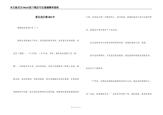 看见读后感800字