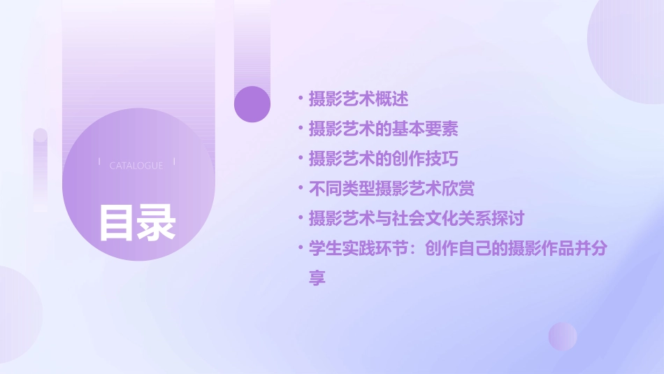 摄影艺术欣赏教案_第2页