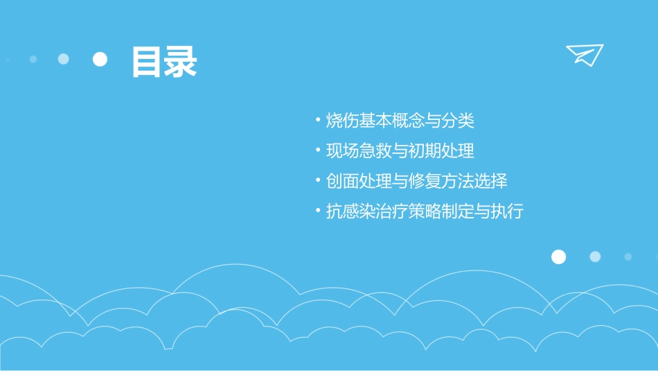 烧伤ppt学习教案_第2页