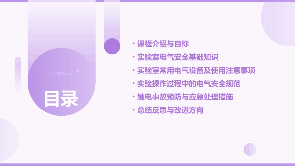 高中物理实验室电气安全教案及反思_第2页
