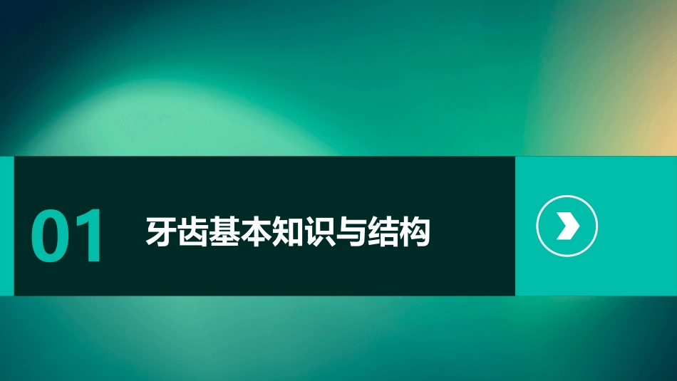 大班科学活动《我的牙齿》ppt课件_第3页