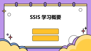 SSIS学习概要