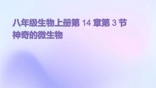 八年级生物上册第14章第3节神奇的微生物
