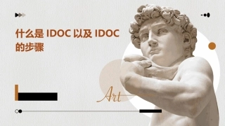 什么是IDOC以及IDOC的步骤
