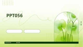 PPT056
