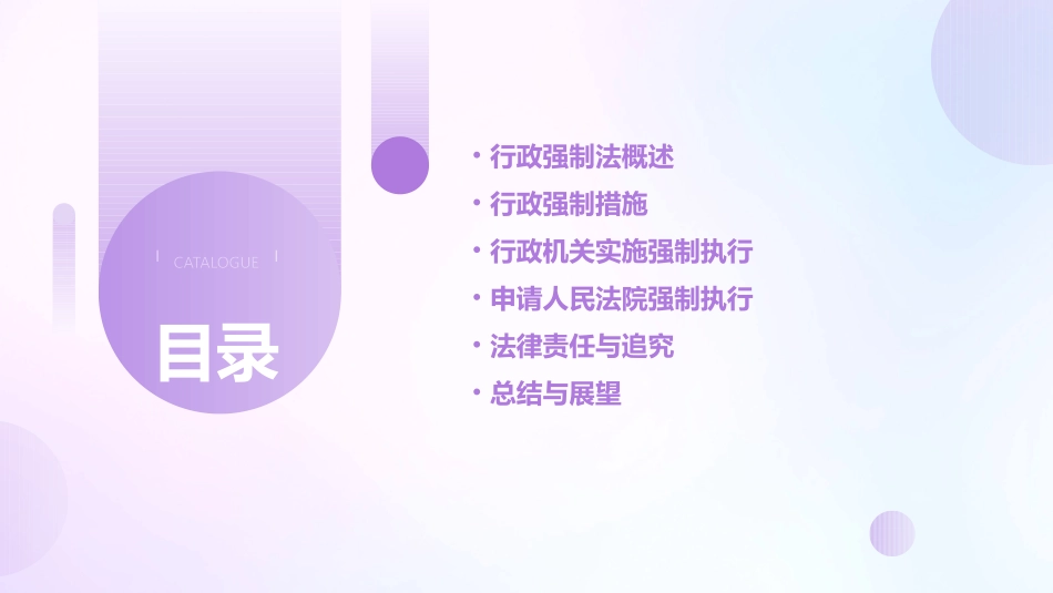 行政强制法2024_第2页