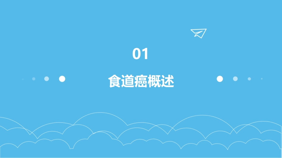 食道癌PPT课件全文完整版_第3页