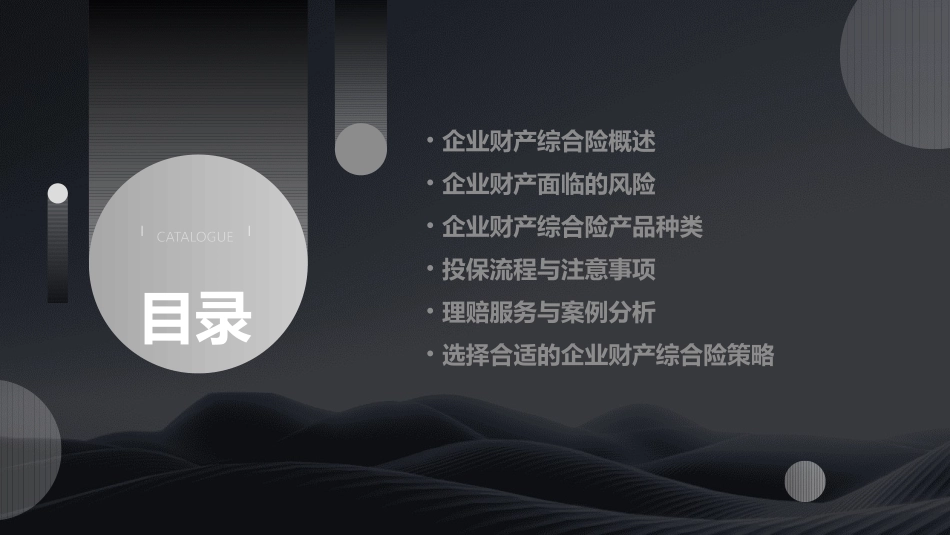 企业财产综合险介绍_第2页