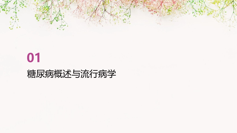 糖尿病患者护理查房PPT课件_第3页
