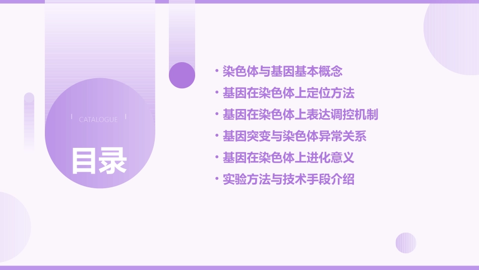 基因在染色体上公开课PPT课件_第2页