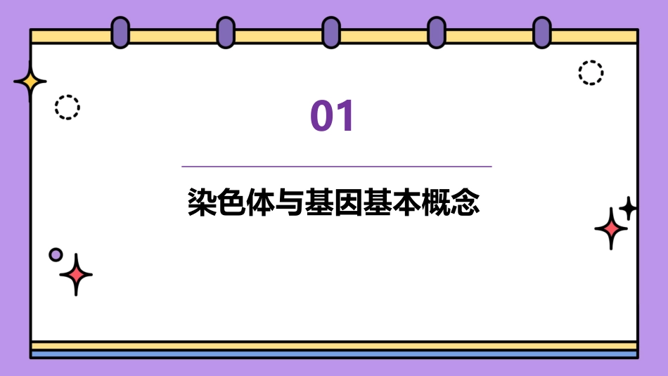 基因在染色体上公开课PPT课件_第3页
