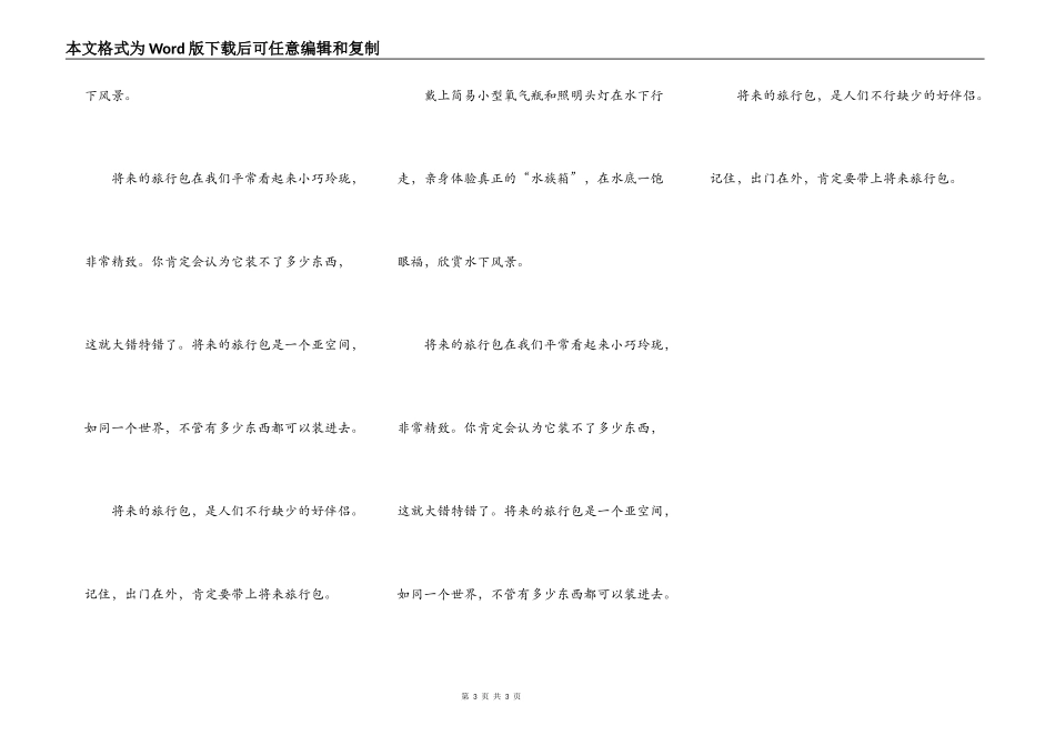 未来的旅行包_第3页