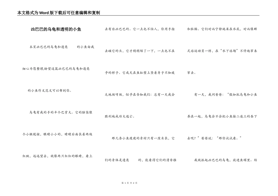 凶巴巴的乌龟和透明的小鱼_第1页