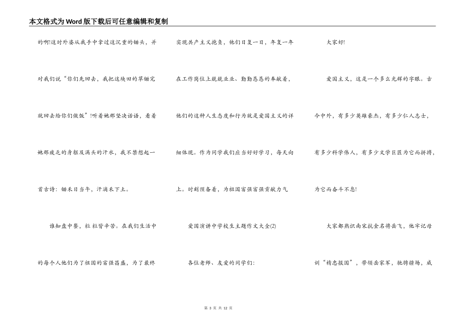 爱国演讲中小学生主题作文5篇_第3页