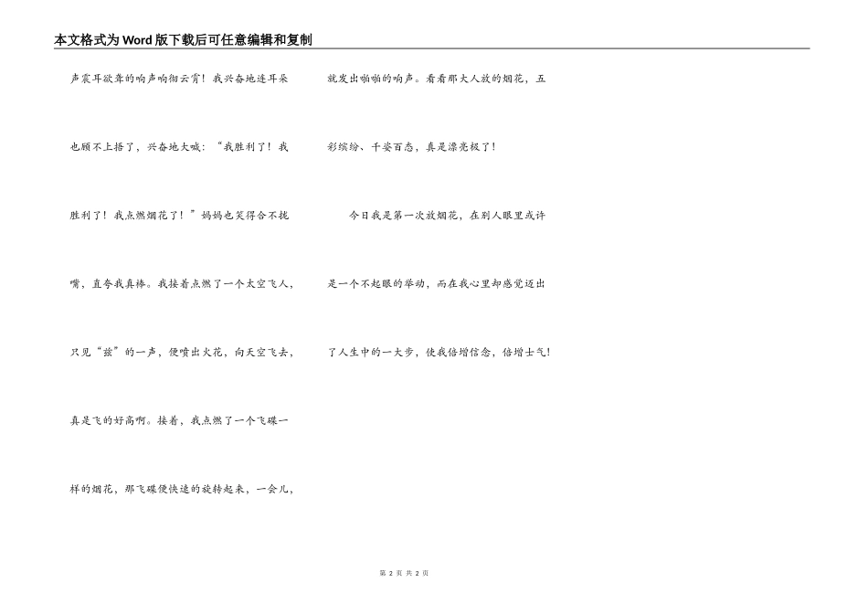 放烟花真快乐_第2页