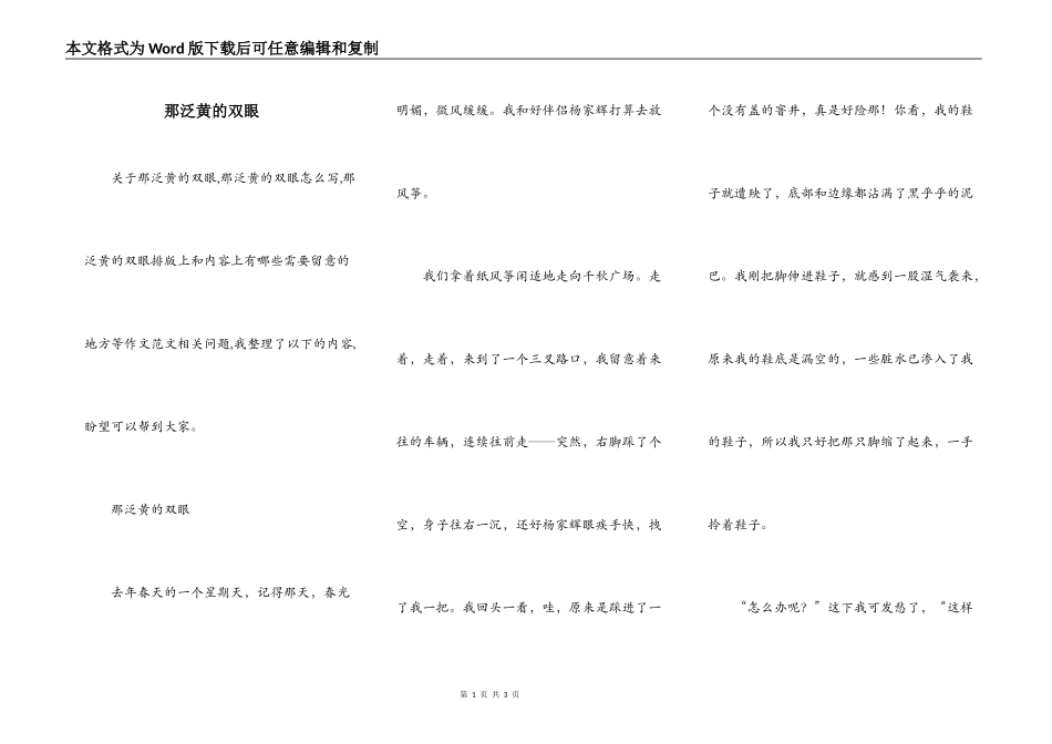 那泛黄的双眼_第1页