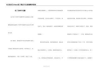 枯了的牵牛花藤