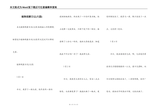 植物观察日记(大蒜)