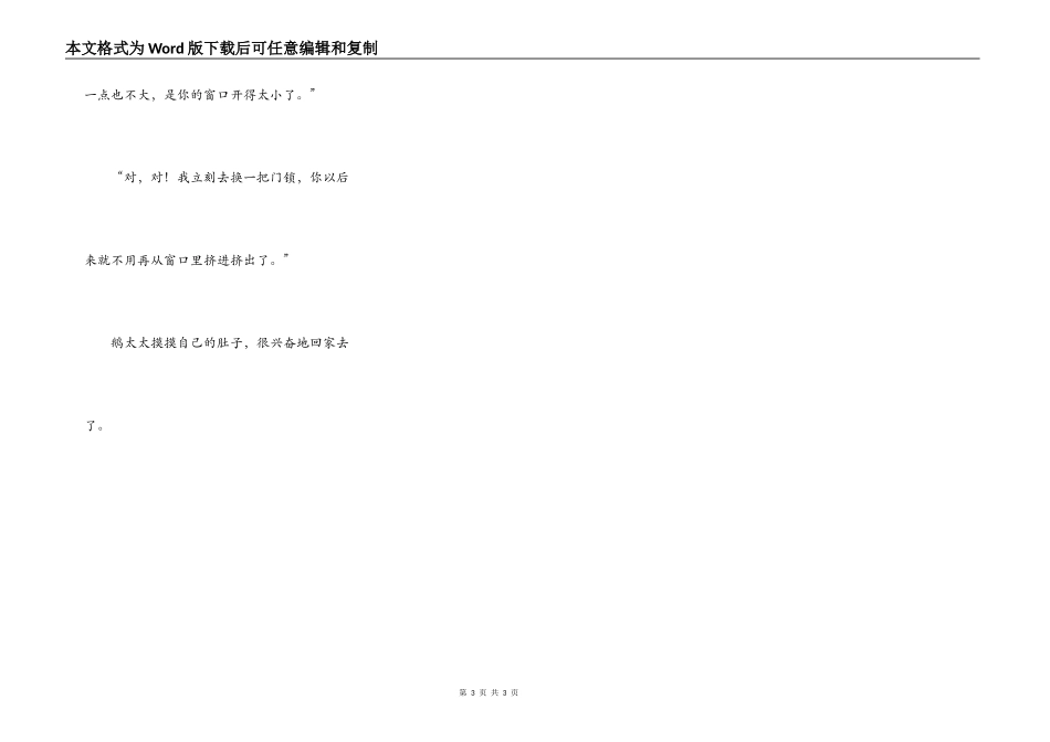 火鸡先生和鹅太太_第3页
