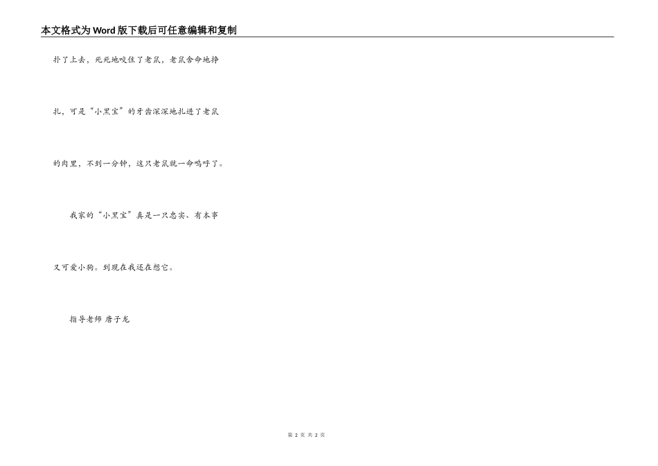我的好朋友“小黑宝”_第2页