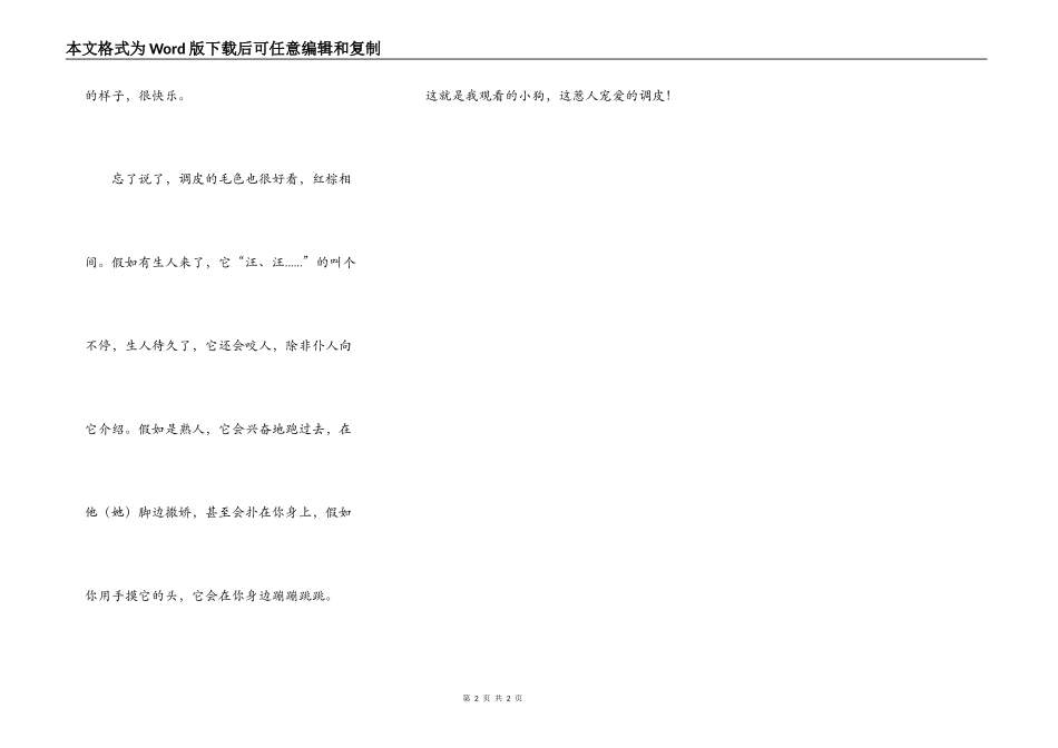我眼中的小狗淘气_第2页