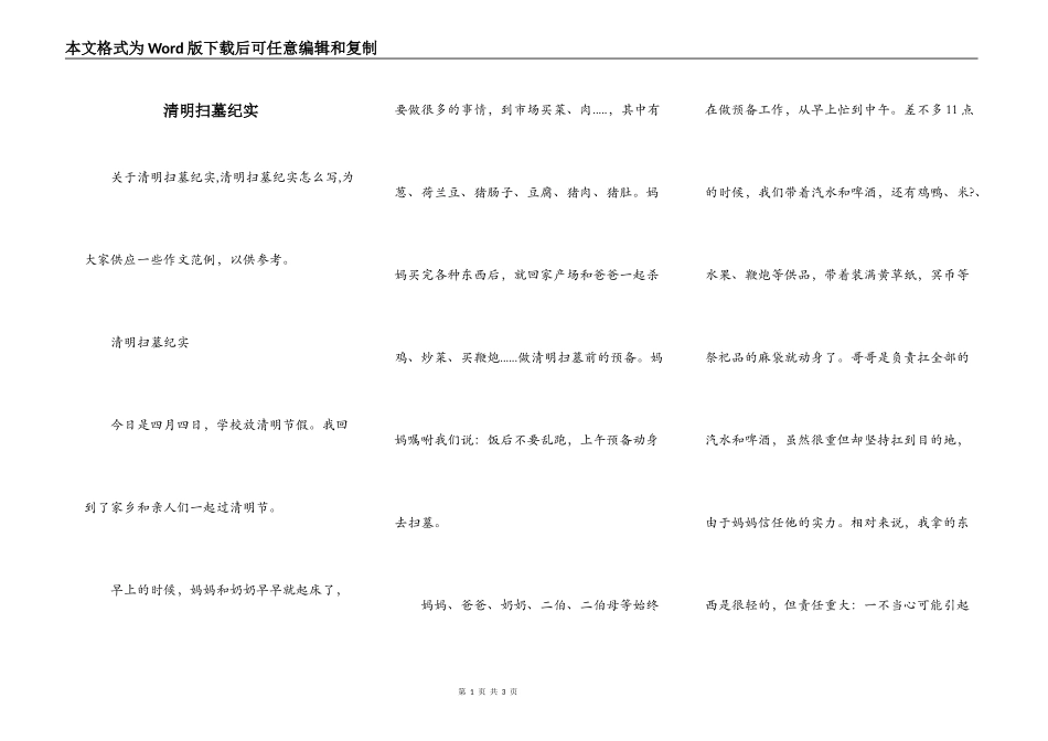 清明扫墓纪实_第1页