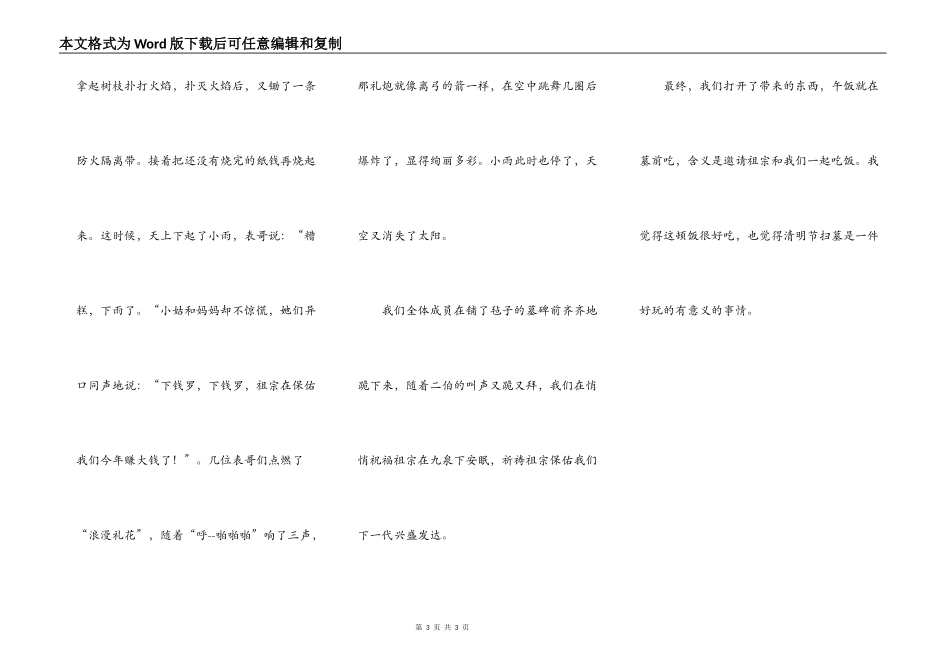 清明扫墓纪实_第3页