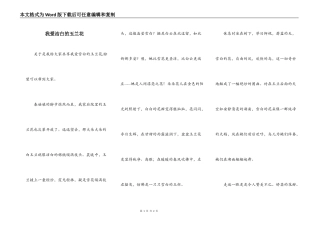 我爱洁白的玉兰花