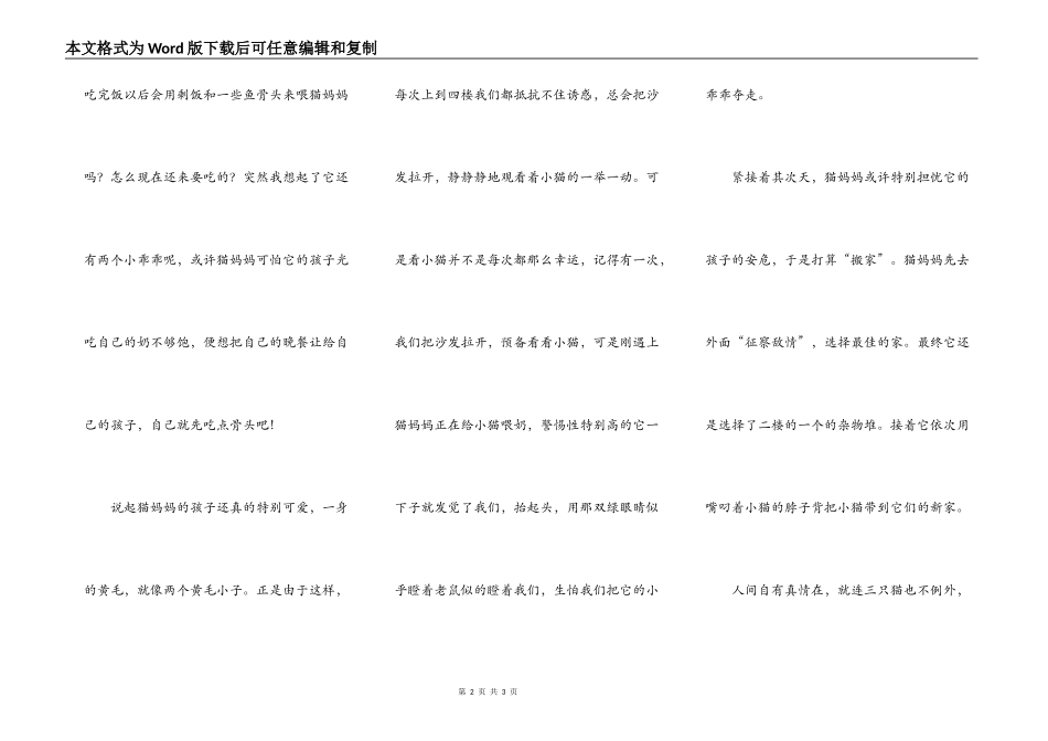 爷爷家的猫妈妈_第2页