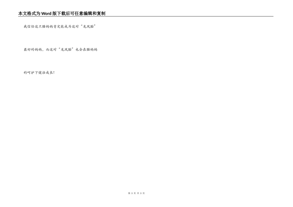 爷爷家的猫妈妈_第3页