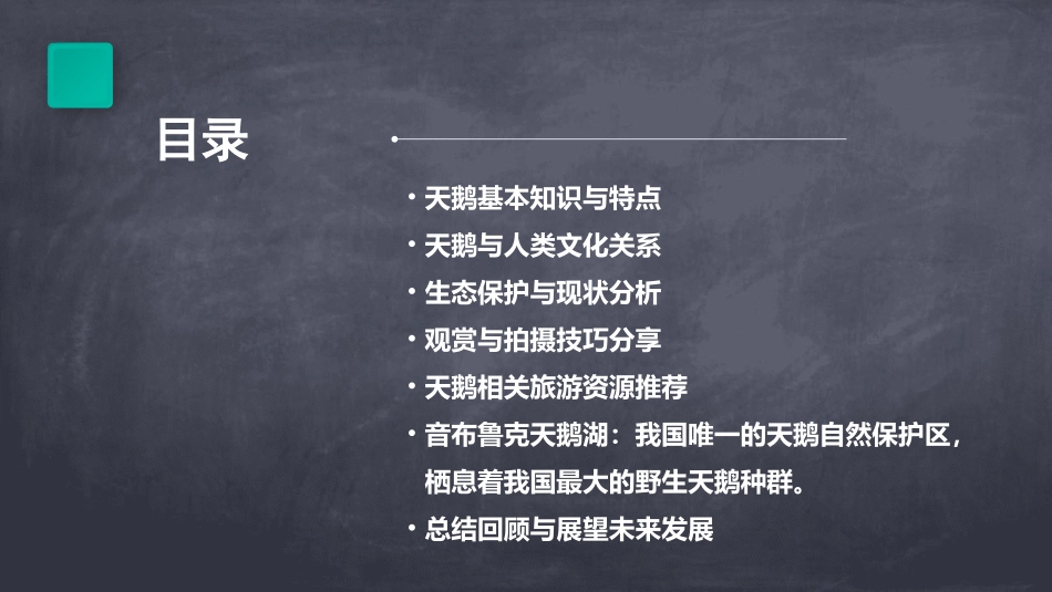 天鹅的故事PPT免费_第2页