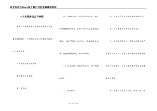 一人有限责任公司章程