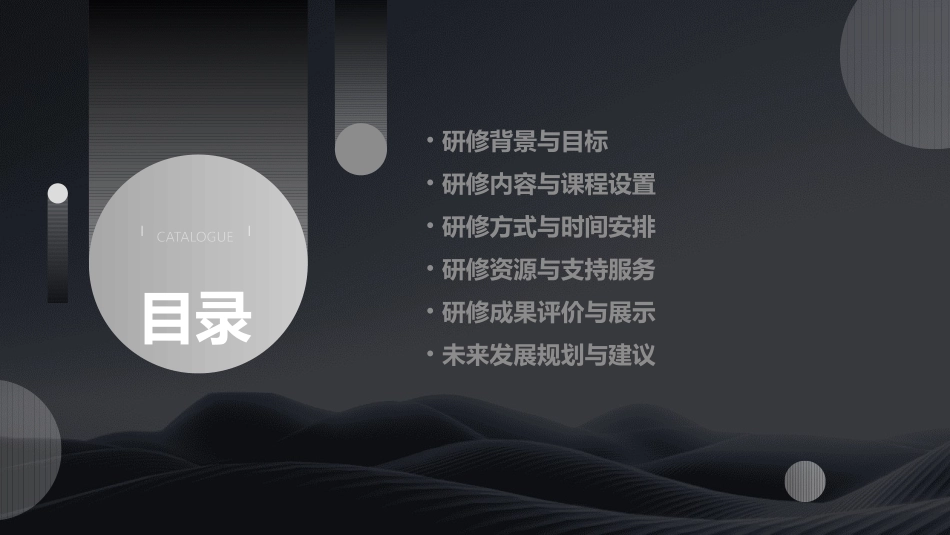 教师个人信息技术研修计划精选2024_第2页