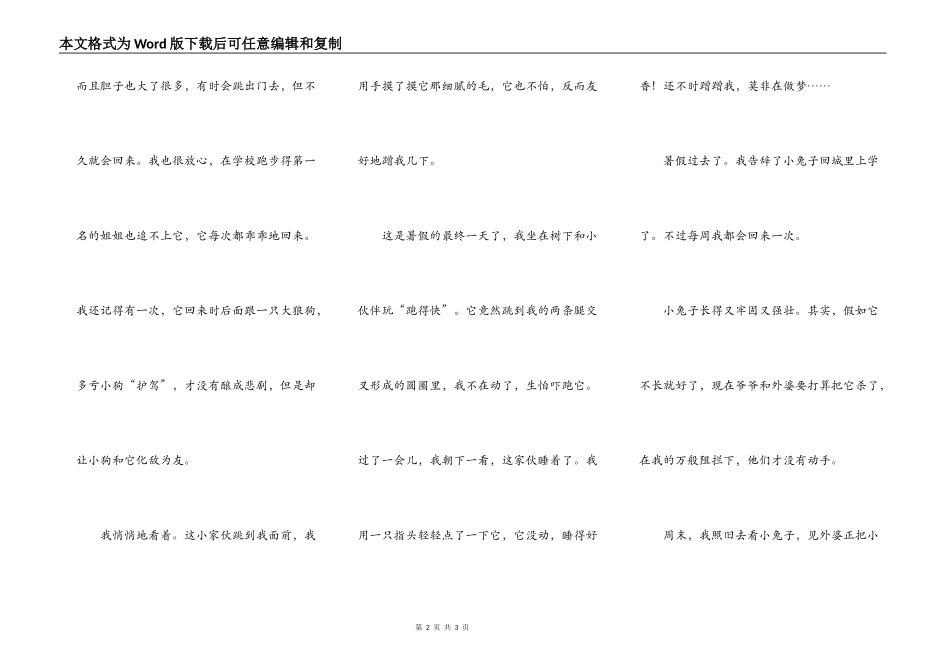 永远的小兔子_第2页
