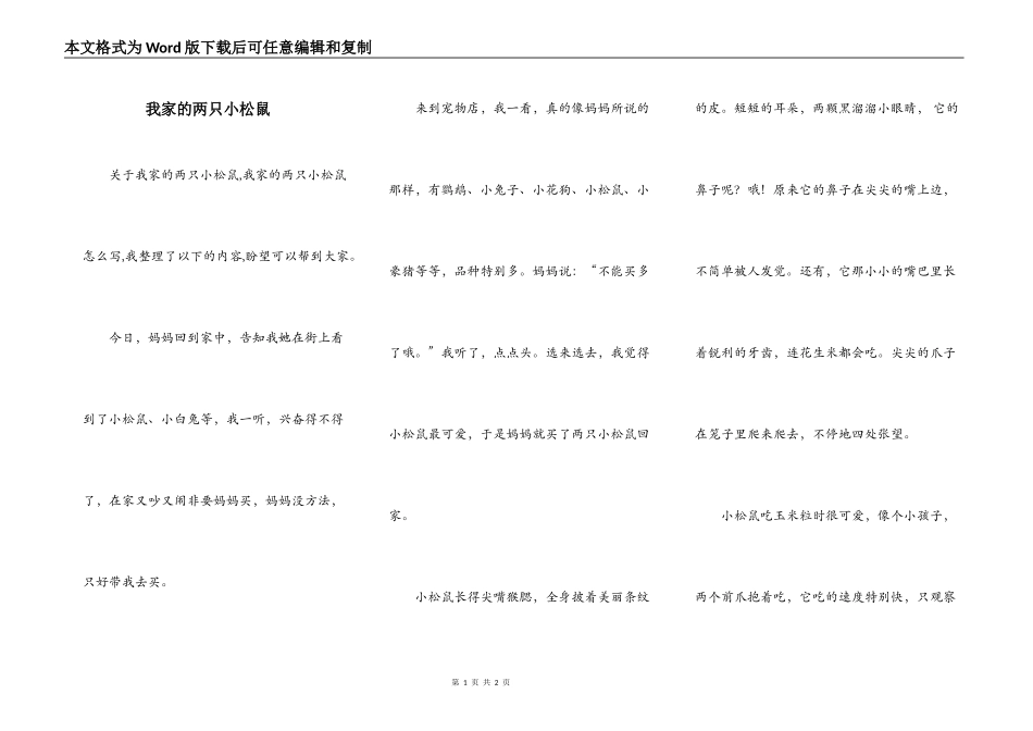 我家的两只小松鼠_第1页