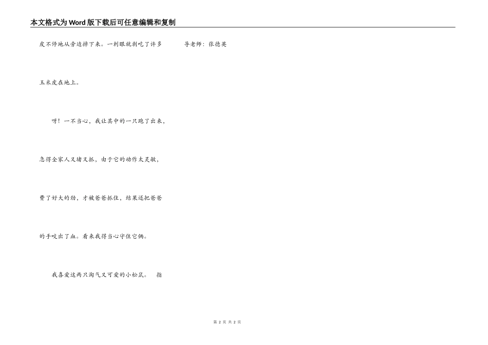 我家的两只小松鼠_第2页