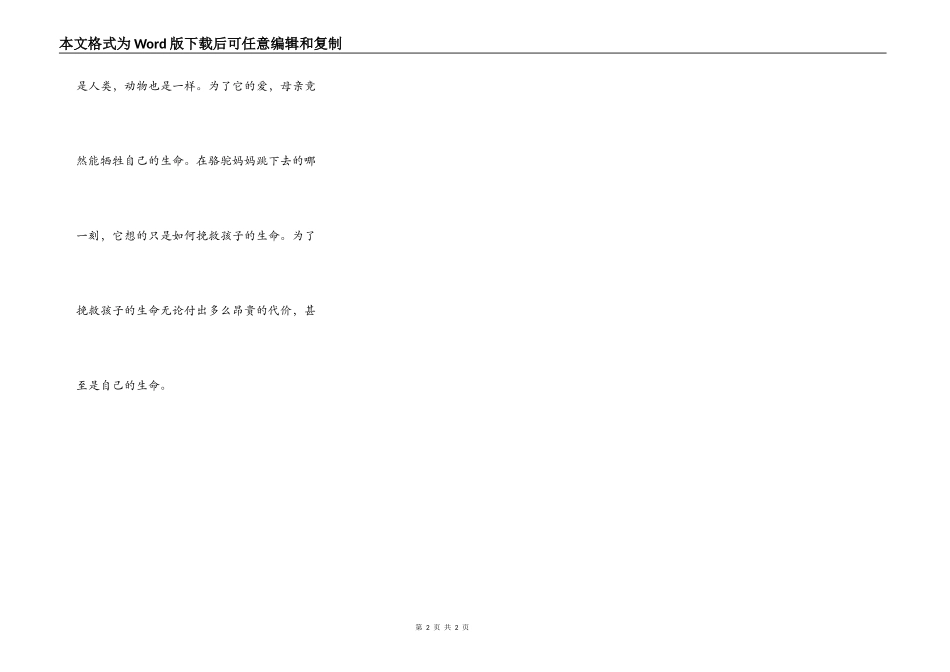 读《骆驼妈妈》有感_第2页