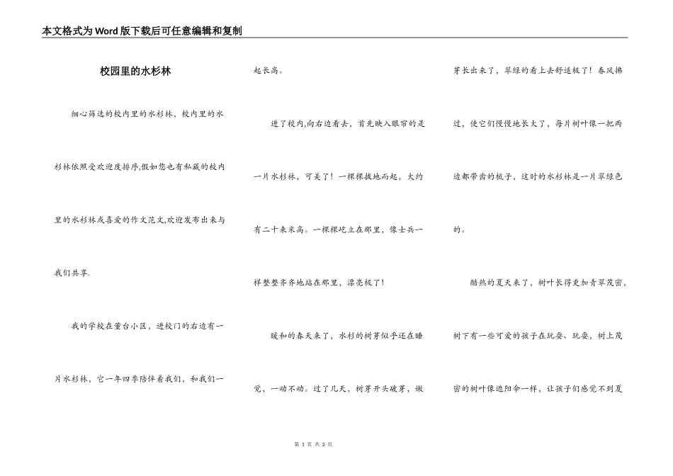 校园里的水杉林_第1页