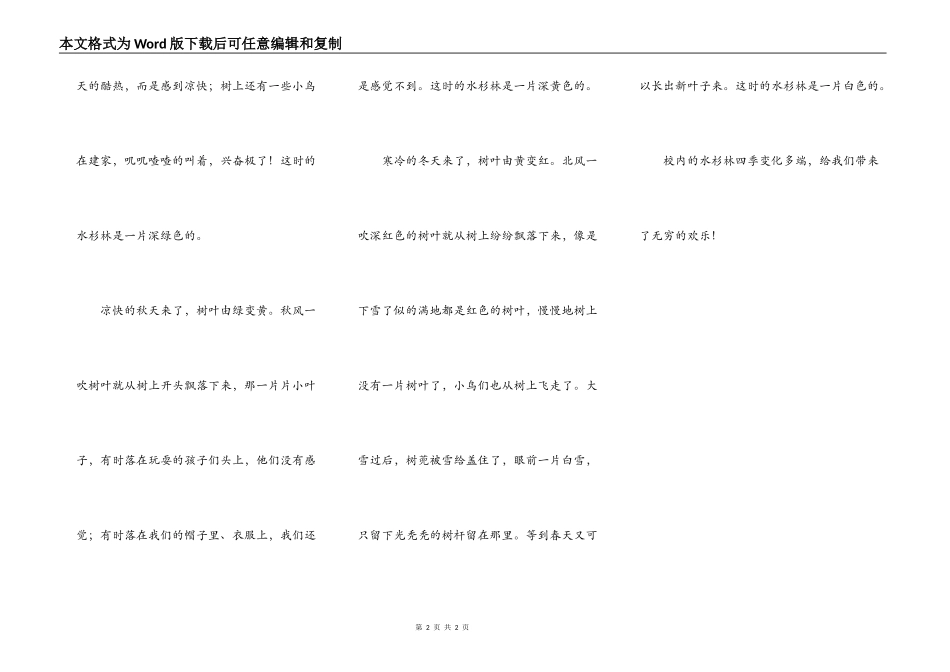 校园里的水杉林_第2页