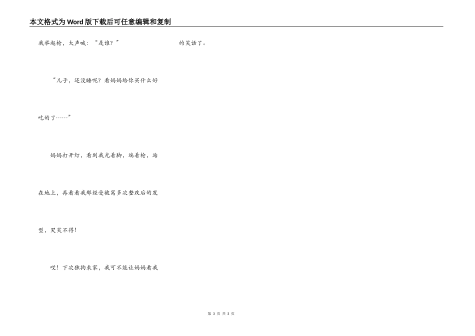 我第一次独自在家_第3页